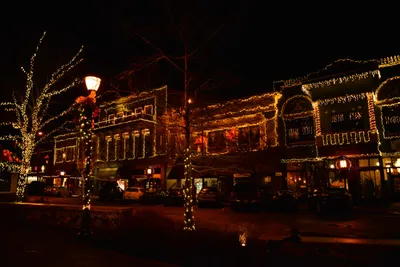 DSC_5870 (Large).JPG